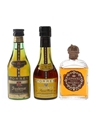 Gonzales Byass & Torres Brandy  3 x 5cl