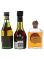 Gonzales Byass & Torres Brandy  3 x 5cl