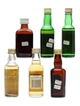 6 x Assorted Blended Scotch Whisky Miniature 