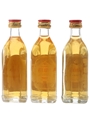 Grant's Standfast Bottled 1970s & 1990s 3 x 4.7cl-5cl / 40%