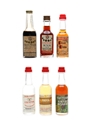 Buton, Gambarotta & Morandini Liqueurs  6 x 2.5cl-3cl