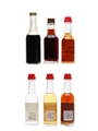 Buton, Gambarotta & Morandini Liqueurs  6 x 2.5cl-3cl
