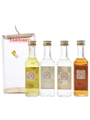 Bardinet Gift Pack Banane Liqueur, Dry Gin, Kirsch Pur & Negrita 4 x 5cl