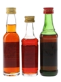 Bols, Henkes Bessen Genever  3 x 3cl-5cl