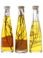 Isolabella Fior D'Alpe Dessert Liqueur Bottled 1960s 3 x 5cl