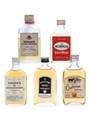 5 x Assorted Blended Scotch Whisky Miniature 