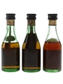 Torres Fontenac, Hors D'Age & Solera  3 x 4.2cl