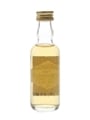 Invergordon 10 Year Old Bottled 1990s 5cl / 40%