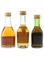 Louis Royer, Monnet & Renault Cognac  3 x 3cl-5cl / 40%