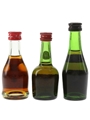 Bisquit, Courvoisier & Delamain Bottled 1970s 3 x 3cl-5cl / 40%