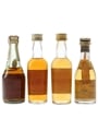 Rayniero, Torres & Sandeman Brandy Bottled 1970s-1980s 4 x 4.6cl-5cl