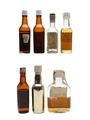 Assorted Whisky Miniatures  10cl & 6 x 5cl