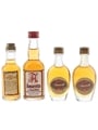 Buton, Girolamo Luxardo & Toschi Amaretto  3 x 2.8cl-5cl / 28%
