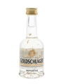 Goldschlager Switzerland 5cl / 53.5%