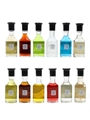 Teichenne Liqueurs & Spirits Selection  12 x 3.5cl-4cl