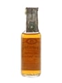 Glenrothes Glenlivet 8 Year Old Bottled 1980s - Gordon & MacPhail 5cl / 40%