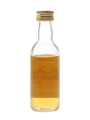 Port Ellen 1969 Connoisseurs Choice Bottled 1980s - Gordon & MacPhail 5cl / 40%