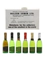 Alpa Novelty Champagne Set  6 x 1.1cl