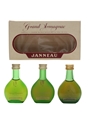 Janneau Grand Armagnac  3 x 3cl / 40%