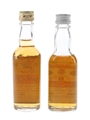 Gilbey's Spey Royal & Glendrostan Bottled 1960s & 1970s 4.7cl & 5cl