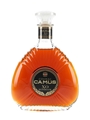 Camus XO Superior  70cl / 40%