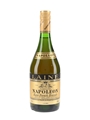 Laine Napoleon Rare French Brandy  70cl / 36%