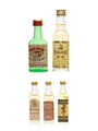 Assorted Blended Scotch Whisky Bartels, Black Barrel, Clan House, Highlander & Scottish Dance 5 x 1.1cl-4cl / 40%