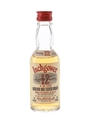 Inchgower 12 Year Old Bottled 1970s 5cl / 40%