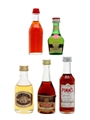 Assorted Liqueurs  5 x 3cl-5cl