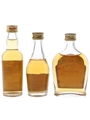 Copeo, Maxime & Royalstock Bottled 1980s 3 x 3cl-4cl