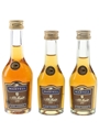 Martell 3 Star VS Bottled 1980s 3 x 3cl-5cl / 40%
