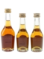 Martell 3 Star VS Bottled 1980s 3 x 3cl-5cl / 40%