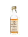 Macallan 10 Years Old Italian Release Miniature