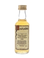 Highland Park 1989 Bottled 1997 - Blackadder 5cl / 43%