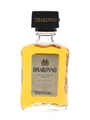 Disaronno Amaretto  50cl / 28%