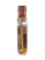 Catto's Gold Label 10 Year Old Bottled 1930s - M & P Importing Company 4.7cl / 43%
