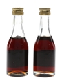 Don Juan Brandy 6 Year Old & 12 Year Old 2 x 3cl / 40%