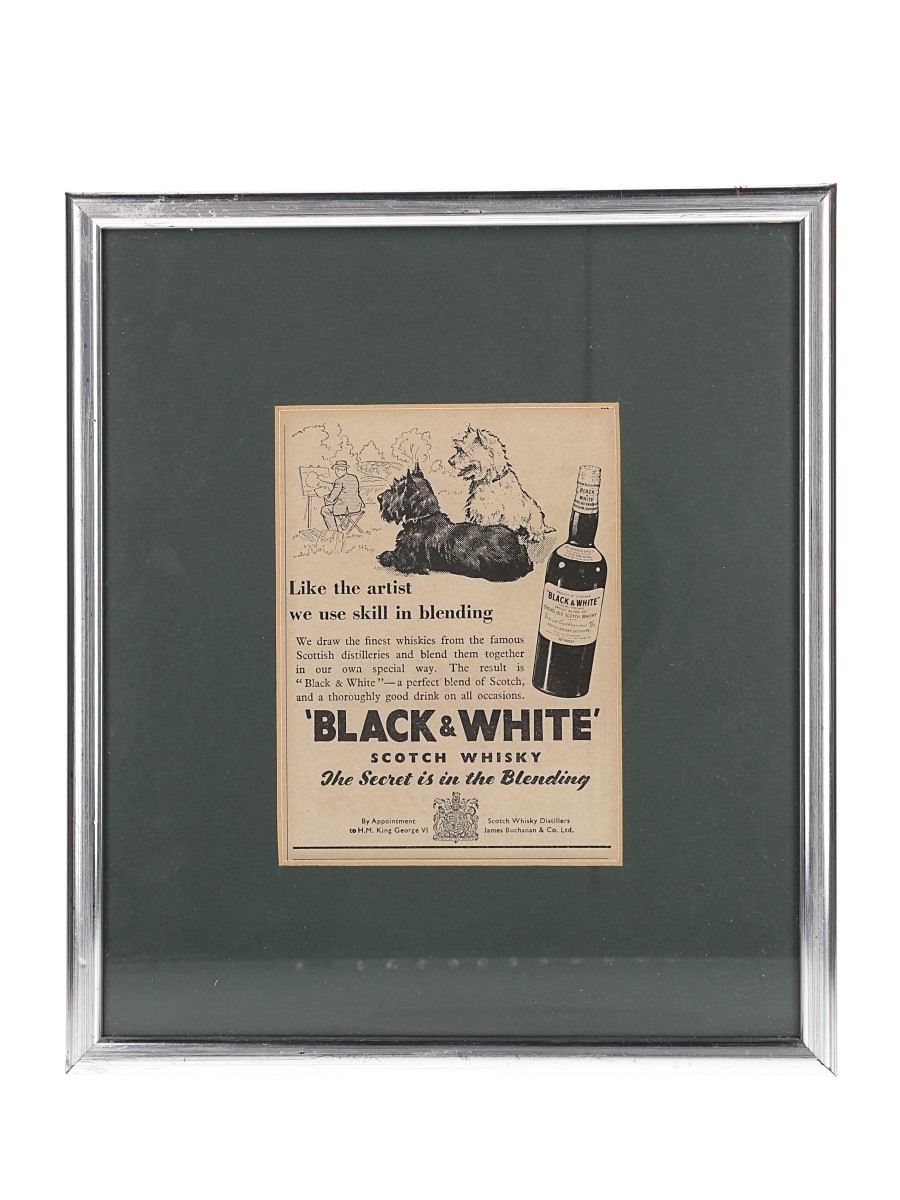 Black & White Scotch Whisky Advertisement Circa 1950s 26cm x 23cm