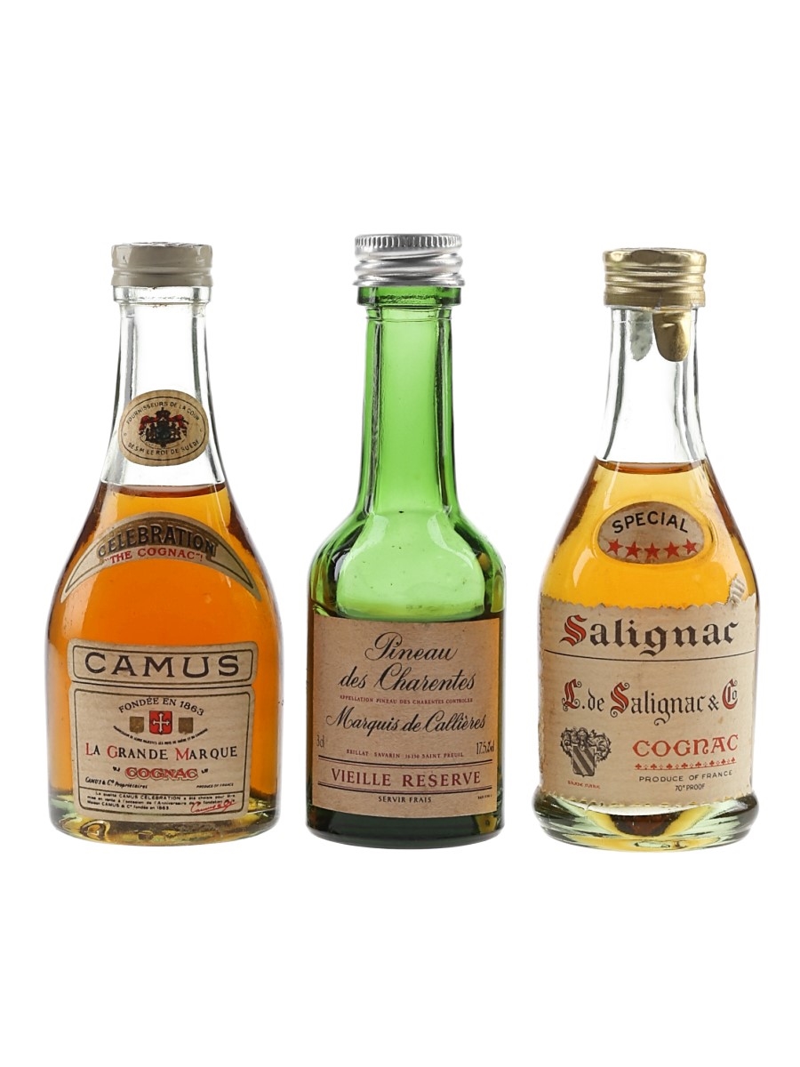 Camus, Pineau Des Charentes & Salignac Special 5 Star Bottled 1970s-1980s 3 x 3cl-5cl
