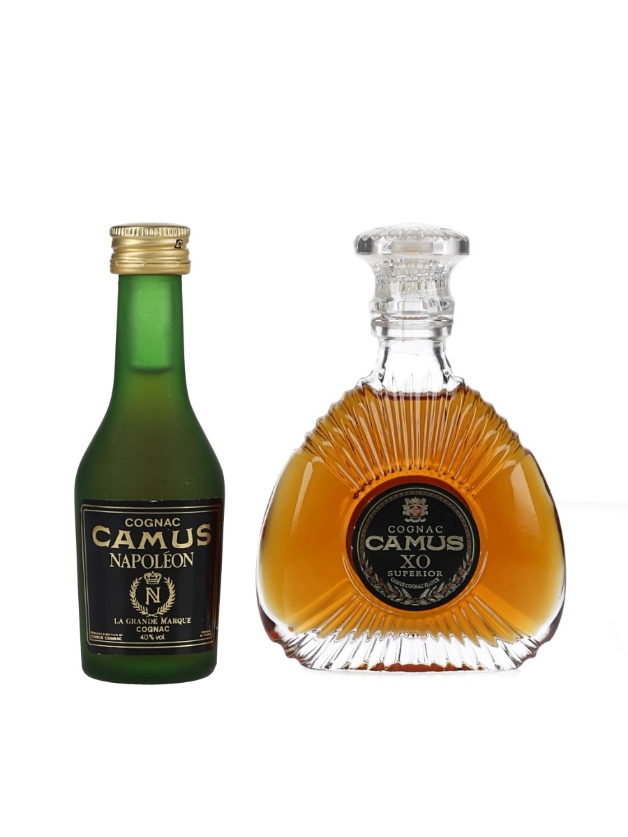Camus XO & Napoleon - Lot 162400 - Buy/Sell Cognac Online