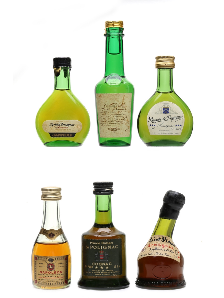 Assorted Armagnac & Cognac Calvados, Janneau, Marquis De Puysegur, Napoleon, Prince Hubert & Saint Vivant 6 x 3cl-5cl